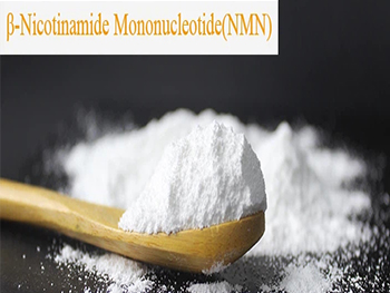 What Is NMN Powder?
